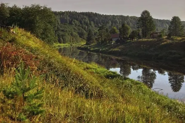 Вепсский лес Вепский лес, Ленинградская область, природа, туризм