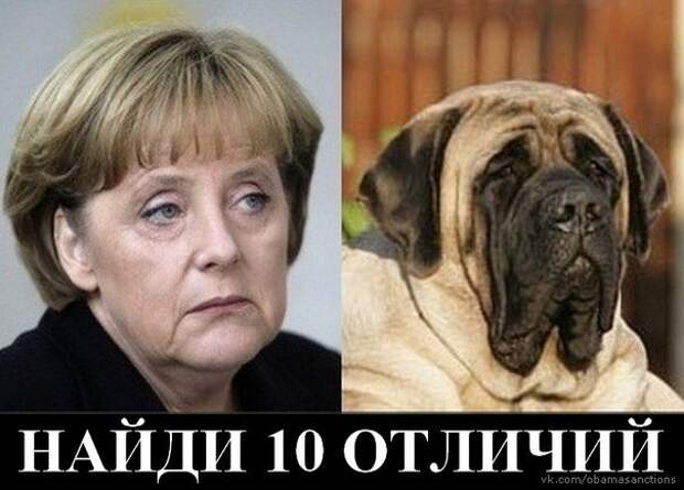 Merkel Afraid Of Dogs