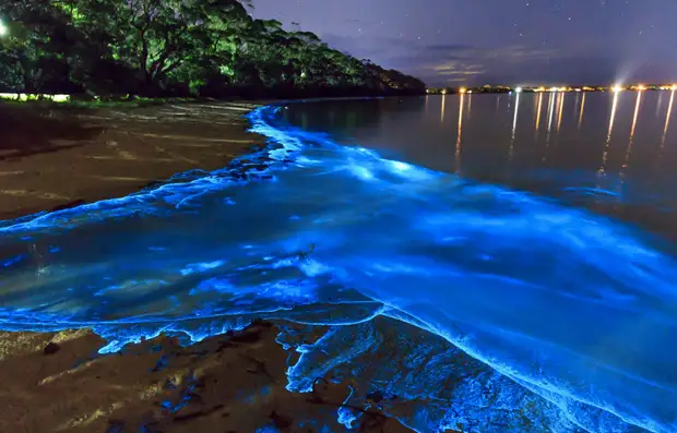 10 самых невероятных заливов мира. Туристы не верят, что они настоящие