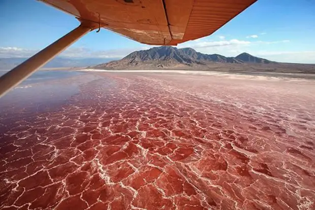 Натрон: озеро с водой кроваво красного цвета