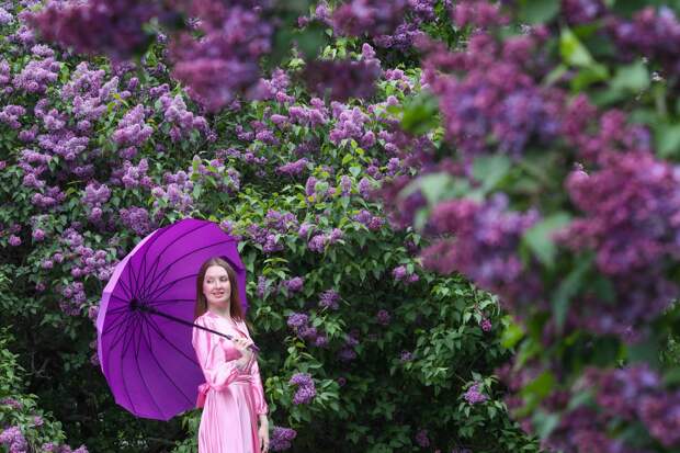 Москвичам предсказали погоду в мае известной приметой