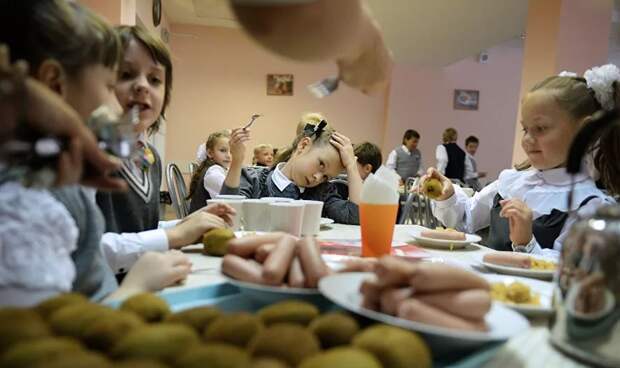 Реформа школьного питания в Петербурге явно отдает душком