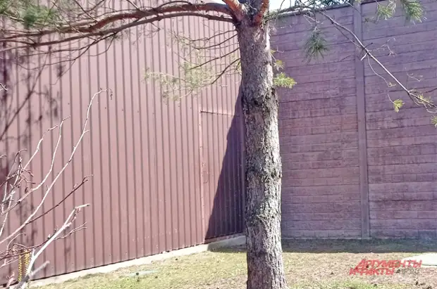 Что стало с гигантским поместьем, которое не достроил Чубайс?