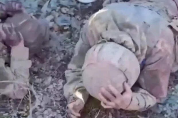 Расплата за коробки смерти: пленные «айдаровцы» выгрызали свои тату