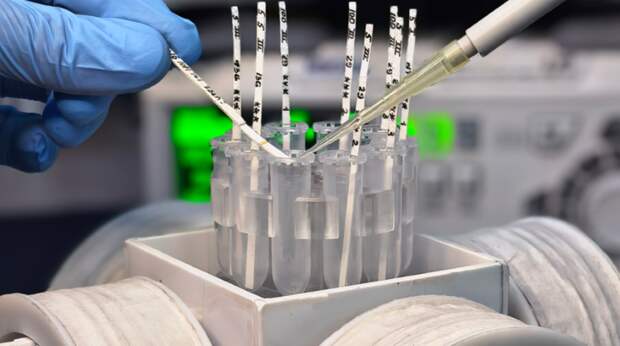 По капле крови за шесть минут: в России создали экспресс-тест на инфаркт