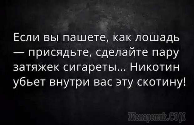 20 анекдотов, от которых хочется хохотать. Просто умора