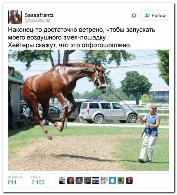 Прикольные комментарии из социальных сетей