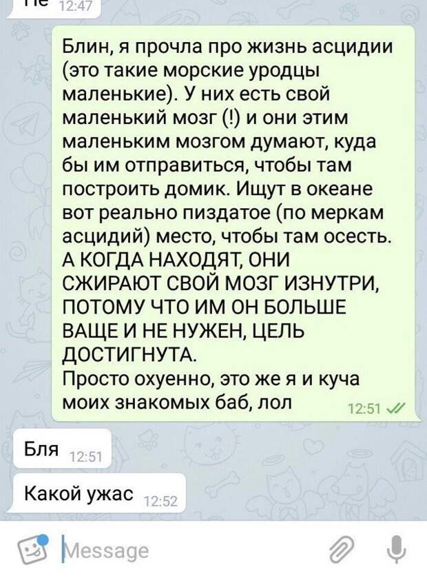 Смешные комментарии и высказывания из социальных сетей высказывания, комментарии, прикол