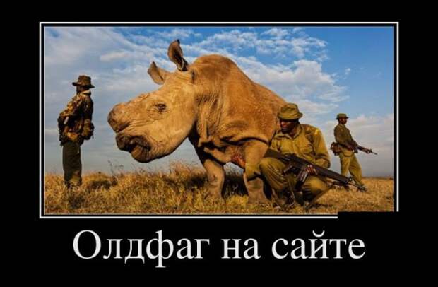Демотиваторы - 993 Демотиваторы - 993