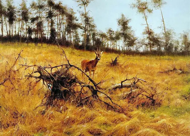 �������� ��� ���������.