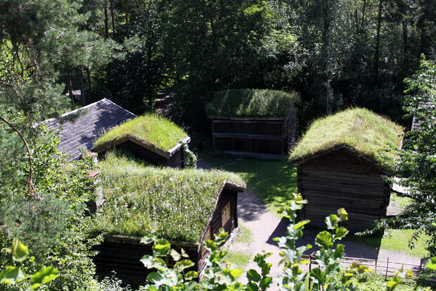Живые крыши  в Норвегии
