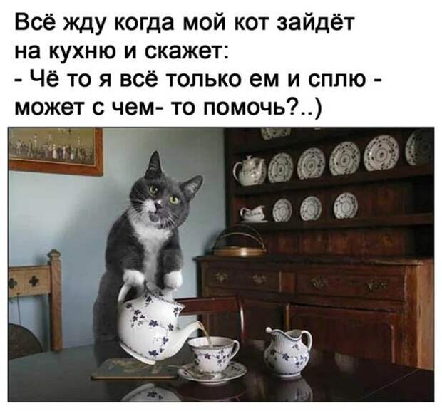 А я все жду )