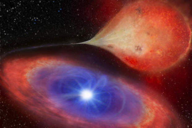 MNRAS: погасшие звезды превращаются в сверхновые за счет питания чужой материей