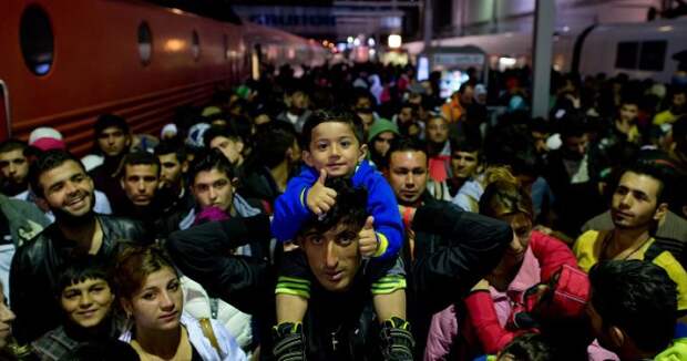 Сирийский беженец с детьми и женами получил пособия