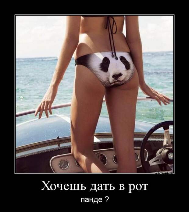 Демотиватор: Хочешь дать в рот панде ?