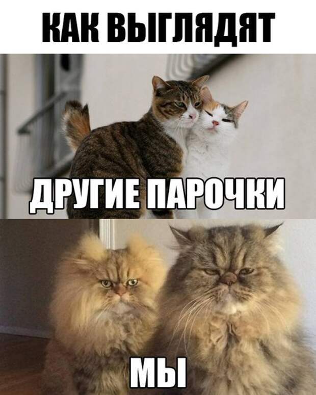 Картинки, юмор, приколы