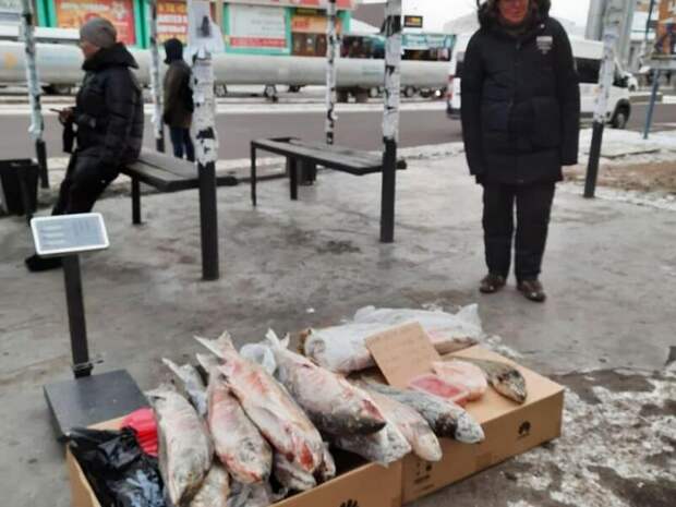 В Чите прошли рейды по борьбе с уличными торговцами рыбой