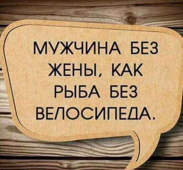 Картинки с надписями картинки с надписями, прикол, юмор