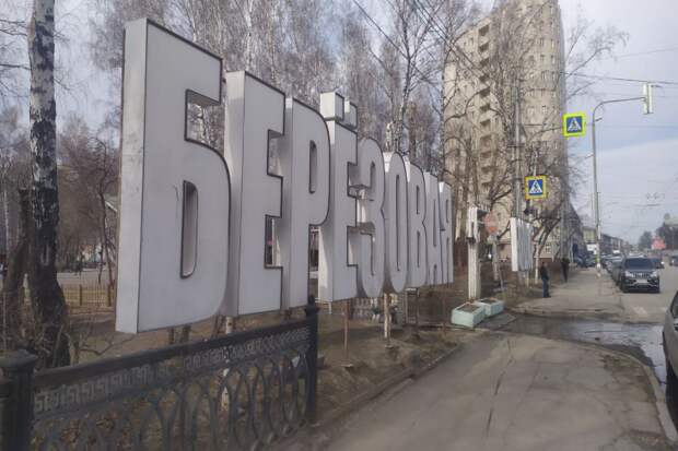 Опрос о будущем Березовой рощи запустили в Новосибирске накануне реконструкции