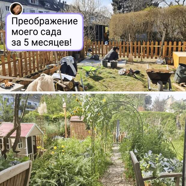 Сады, глядя на которые хочется срочно взять лопату и сделать так же