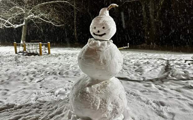 Циклон с обложным снегопадом накрыл Рязанскую область