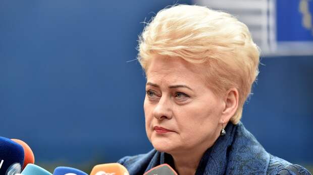 Литовский курьер: Грибаускайте подписала закон Магнитского