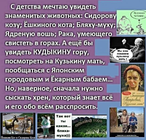 Картинки с надписями, истории и анекдоты
