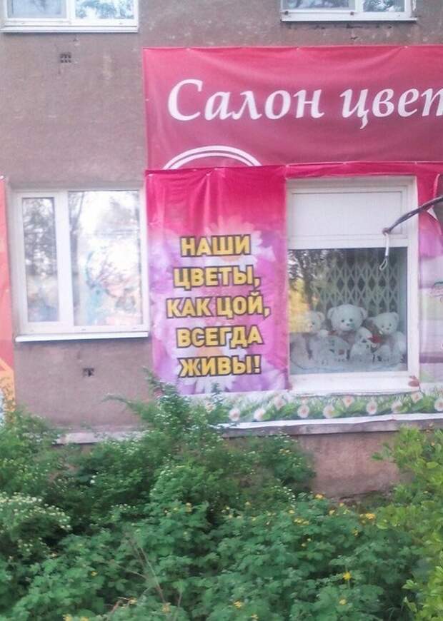 Веселые фото выходного дня! приколы, фото, юмор