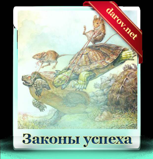 Законы успеха