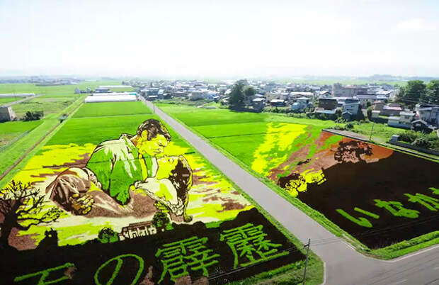 Искусство рисовых полей в Японии