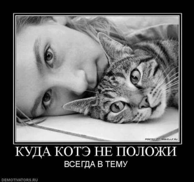 Прикольные демотиваторы с надписями. Подборка chert-poberi-dem-chert-poberi-dem-56090420012023-1 картинка chert-poberi-dem-56090420012023-1