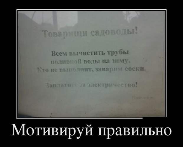 Прикольные демотиваторы для настроения (10 фото) Прикольные демотиваторы для настроения (10 фото)