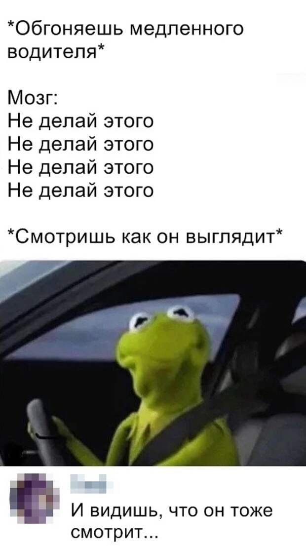Подборка картинок (20 фото)
