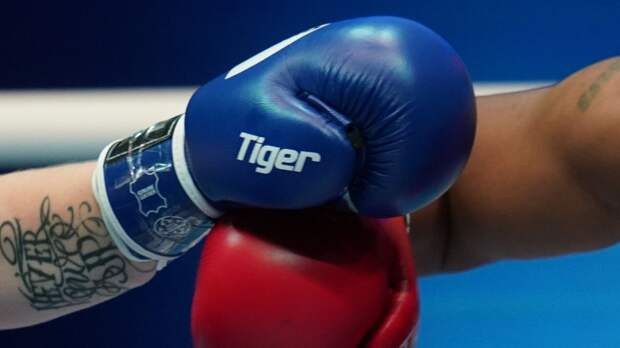 Российский боксер Махмудов восхитил Британию. "Победил даже медведя"