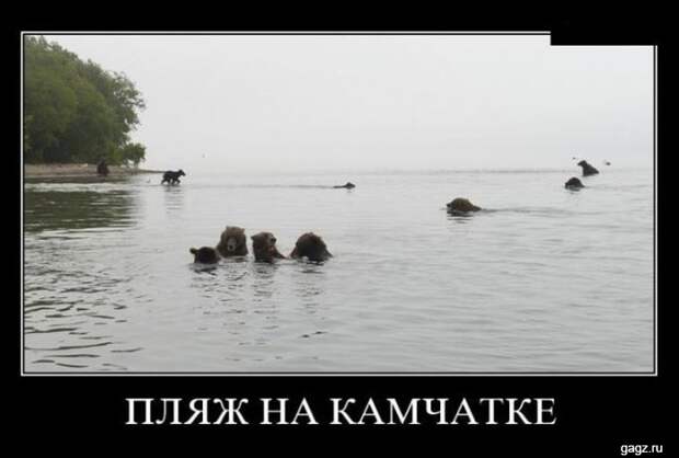 demotivators_funny_pics_gagz_ru_001167