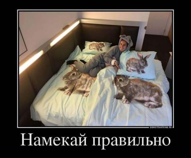 Свежая порция демотиваторов (15 шт)