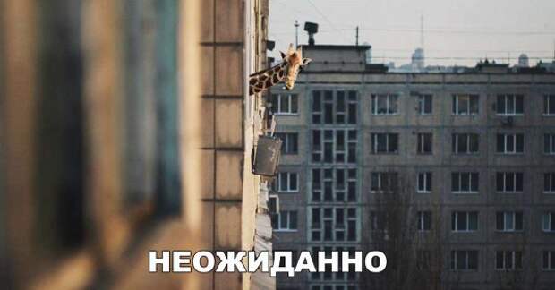 Позитивный пост+ 152
