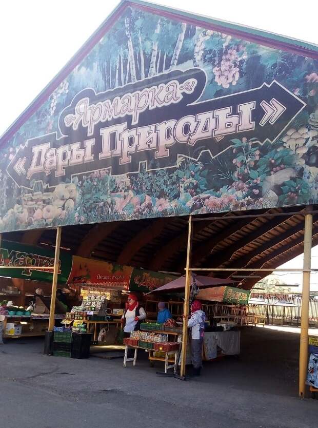 Захотелось картошки с грибами – поискали на рынке и в магазинах. Цены высокие и для здорового питания не подходят