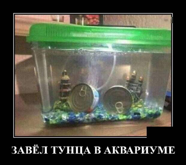 Демотиваторы (30 фото)