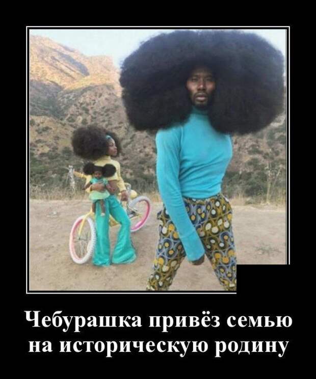 demotivatory-demotivator-smeshnye-demotivatory-demotivator-so-smyslom