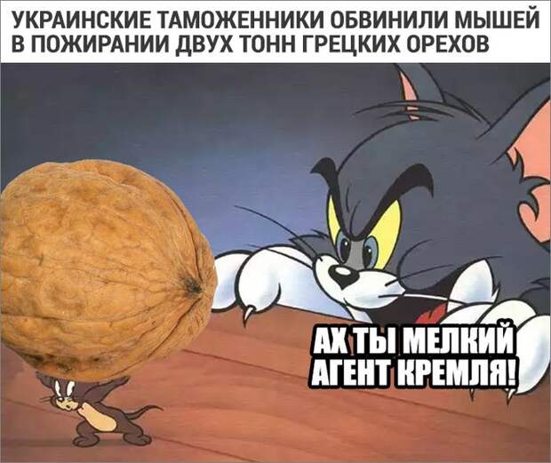 16f3d1e.jpg