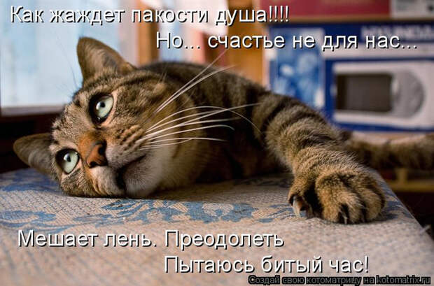 13 (700x462, 355Kb)