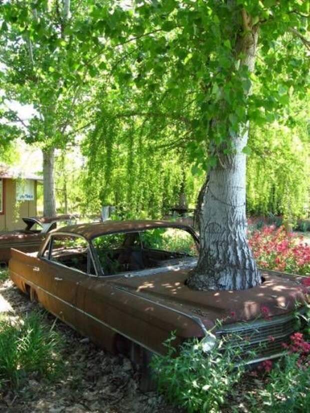 Прикольные картинки. Дневной выпуск (55 фото)