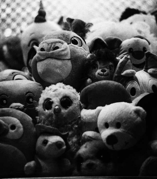 30 снимков, запечатлевших простую красоту нашего мира