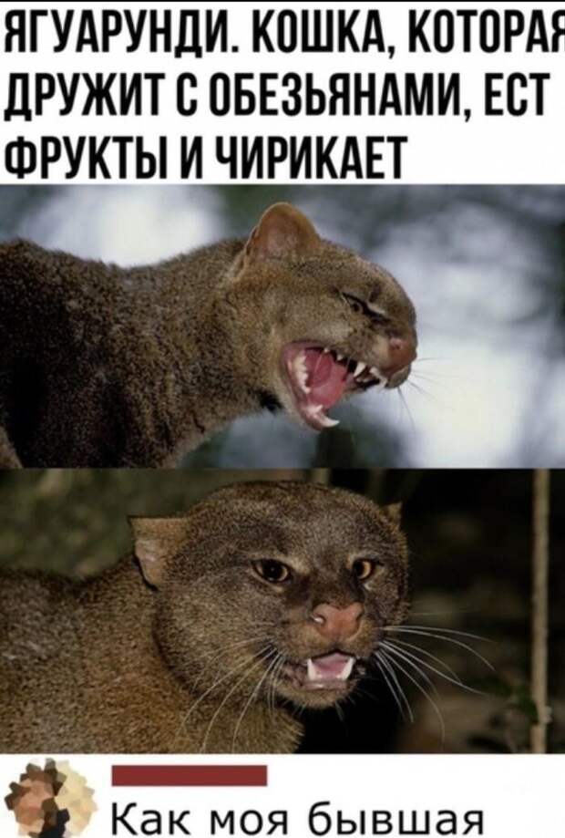 Прекрасные сравнения Прекрасные сравнения