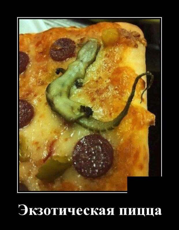 demotivatory-demotivator-smeshnye-demotivatory-demotivator-so-smyslom