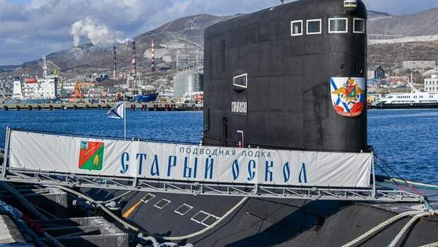 Рожденные на глубине 200 м, эти котята станут новыми талисманам ВМФ России