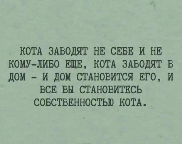 Отборный юмор - подборка смешных мемов с надписями