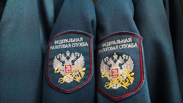 Экономист Сорокина: налоговая проверяет крупные поступления на счета самозанятых