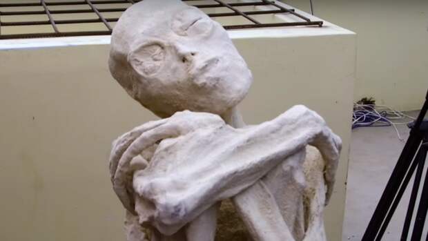 Исследователи откопали мумию перуанского пришельца археологи, в мире, люди, мумия, находка, пришелец, раскопки